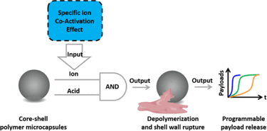 graphic of microcapsules